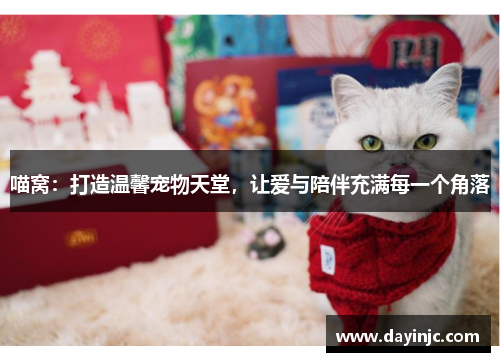 喵窝：打造温馨宠物天堂，让爱与陪伴充满每一个角落