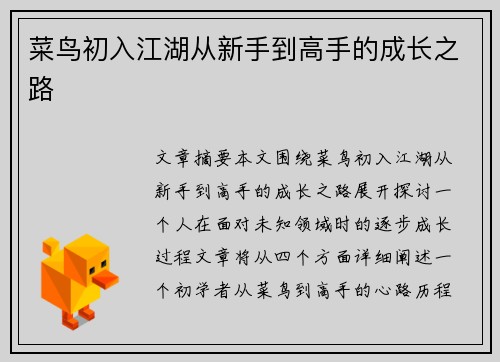 菜鸟初入江湖从新手到高手的成长之路